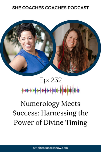 Numerology Meets Success: Harnessing the Power of Divine Timing with Cindy Van Arnam Ep 232
