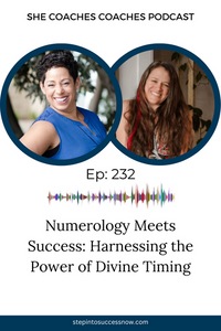 Numerology Meets Success: Harnessing the Power of Divine Timing with Cindy Van Arnam Ep 232