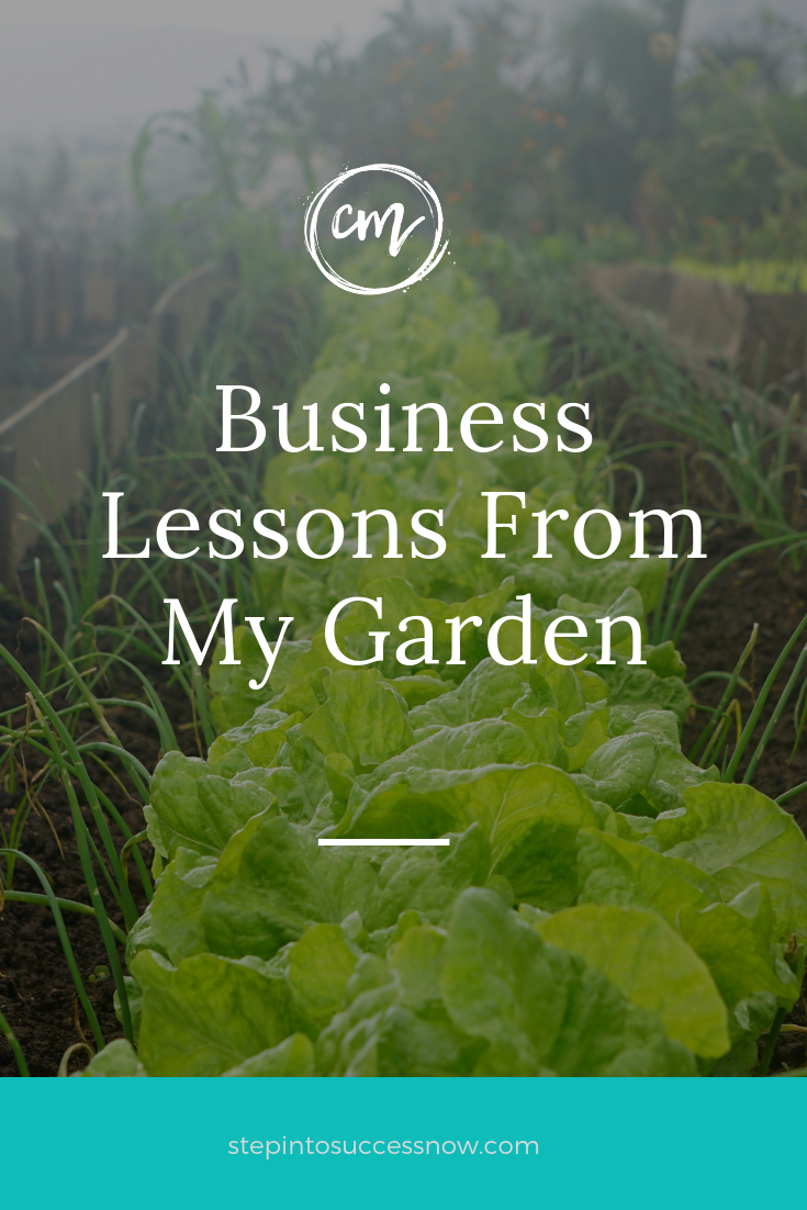 Business Lessons From My Garden